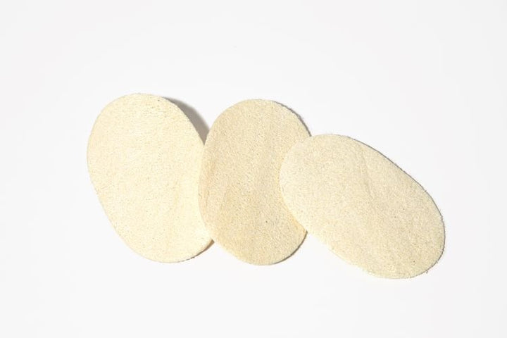 Compostable Eco-Sponge Set of 3 - Humble Suds