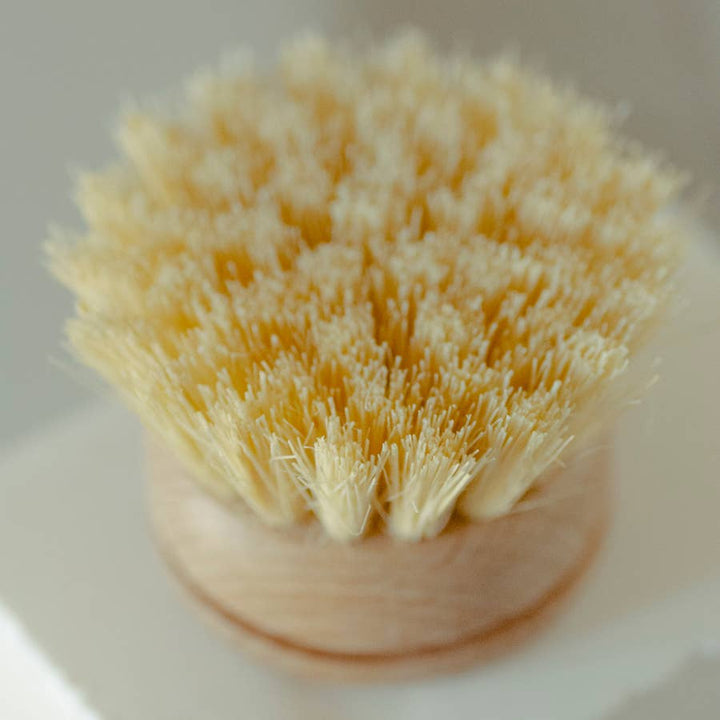 Wooden Dish Brush - Humble Suds